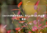 CSGO EPL历届冠军巡礼，从Fnatic到Vitality的王朝更迭