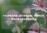 PUBG全服装图鉴+图片收集指南！绝版限定到基础白嫖全盘点全渠道找法