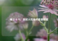 樱之十八，穿越火线里的青春刻度