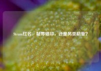 Steam红名，耻辱烙印，还是另类勋章？