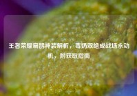 王者荣耀扁鹊神装解析，毒奶双绝成战场永动机，附获取指南