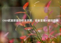 CSGO武器装备回收全攻略，安全变现+避坑指南