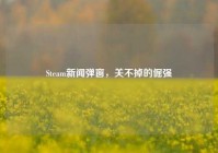 Steam新闻弹窗，关不掉的倔强