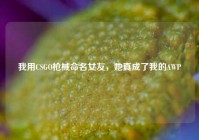 我用CSGO枪械命名女友，她真成了我的AWP