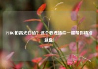 PUBG怕高光白给？这个收魂插件一键帮你精准复盘！