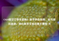CSGO提交订单全指南！新手秒会流程、老鸟避坑提速，核心解答交易后要不要等7天