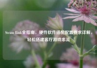Steam Link全指南，硬件软件搭配配置要求详解，轻松搭建客厅游戏串流