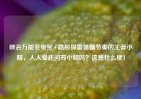 峡谷万能充电宝+隐形探雷器懂节奏的王者小明，人人爱还问有小明吗？这是什么梗！