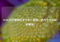PUBG大厅突然打不了字？别急，这几个方法轻松解决！