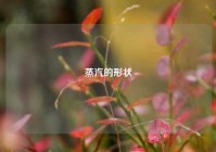 蒸汽的形状