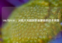 YMG与PUBG，从路人天团到职业赛场的战术突围