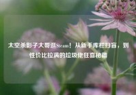 太空杀影子大哥逛Steam！从新手库栏扫盲，到性价比拉满的垃圾佬狂喜秘籍