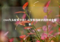 CSGO九头蛇多少钱？从发售到现状的市场全解析