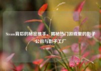 Steam背后的秘密推手，揭秘热门游戏里的影子公司与影子工厂