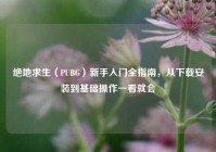 绝地求生（PUBG）新手入门全指南，从下载安装到基础操作一看就会