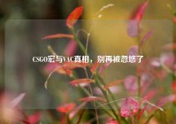 CSGO宏与VAC真相，别再被忽悠了
