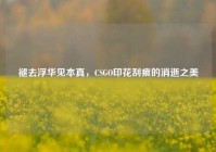 褪去浮华见本真，CSGO印花刮痕的消逝之美