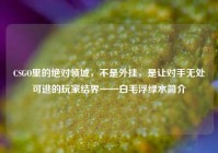 CSGO里的绝对领域，不是外挂，是让对手无处可逃的玩家结界——白毛浮绿水简介