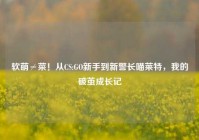软萌≠菜！从CS:GO新手到新警长喵莱特，我的破茧成长记