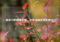 踩冰刀的橘猫奶糖，小区冰场逆战大鹅王！
