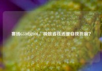 赛扬G530玩LOL，极致省钱还是自找折磨？