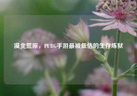漠北荒原，PUBG手游最被低估的生存炼狱