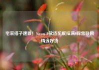 宅家搭子速戳！Steam10款适配度拉满0踩雷联网精选好货