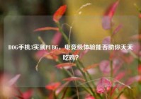 ROG手机3实测PUBG，电竞级体验能否助你天天吃鸡？