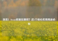 别丢！Steam收据在哪找？这5个核心实用用途必知