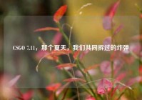 CSGO 7.11，那个夏天，我们共同拆过的炸弹