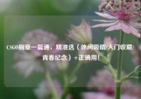 CSGO胸章一篇通，精准选（休闲吸睛/入门收藏/青春纪念）+正确用！