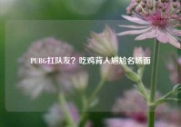 PUBG扛队友？吃鸡背人尴尬名场面