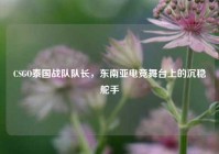 CSGO泰国战队队长，东南亚电竞舞台上的沉稳舵手