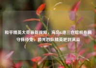 和平精英大奇最新视频，海岛G港三仓暗桩布局守株待兔，蹲死四队精英肥到满溢