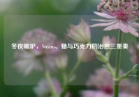 冬夜暖炉，Steam、猫与巧克力的治愈三重奏