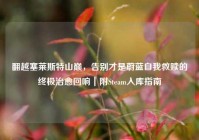 翻越塞莱斯特山巅，告别才是蔚蓝自我救赎的终极治愈回响｜附Steam入库指南