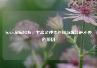 Steam家庭授权，共享游戏库的利与弊及进不去的原因