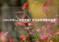COD16卡在logo/加载界面？这几招帮你顺利进游戏