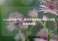 Steam好友账户名，游戏世界里的社交名片及查看实用指南