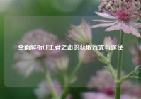 全面解析CF王者之击的获取方式与途径