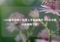 CSGO新手别懵！快速上手基础操作——左右移动是哪两个键？