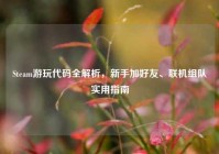 Steam游玩代码全解析，新手加好友、联机组队实用指南