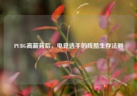 PUBG高薪背后，电竞选手的残酷生存法则