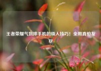 王者荣耀气到摔手机的烦人技巧！全用真怕友尽