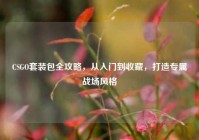 CSGO套装包全攻略，从入门到收藏，打造专属战场风格