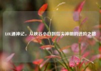 LOL通神记，从峡谷小白到指尖神明的进阶之路