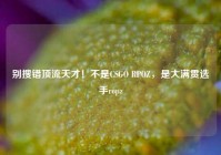 别搜错顶流天才！不是CSGO RPOZ，是大满贯选手ropz