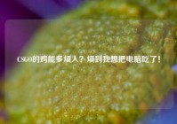 CSGO的鸡能多烦人？烦到我想把电脑吃了！