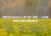 鸿蒙手机没法玩PUBG/地下城？别慌！一文讲清原因与专属实用解决办法