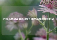 PUBG人物界面崩溃别慌！附全套快速修复方案